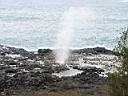 013_hawaii.jpg
