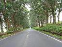 018_hawaii.jpg