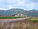 044_hawaii.jpg