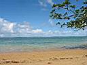 230_hawaii.jpg