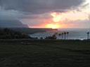 239_hawaii.jpg