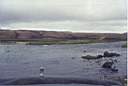 39_ICELAND.JPG
